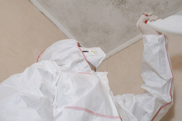 Best Mold Remediation for Specific Building Types in Holly Hills, CO
